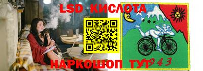 Альфа ПВП Новозыбков