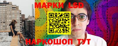 ECSTASY Новодвинск