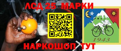 Альфа ПВП Новозыбков
