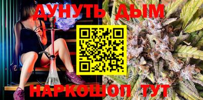 Альфа ПВП Новозыбков