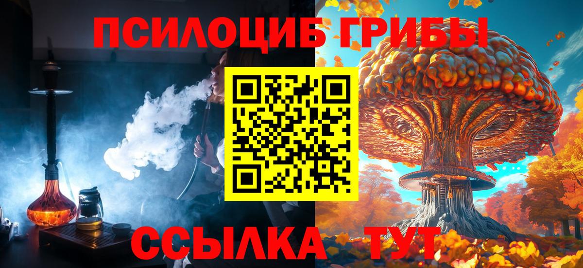 Галлюциногенные грибы Cubensis Топки