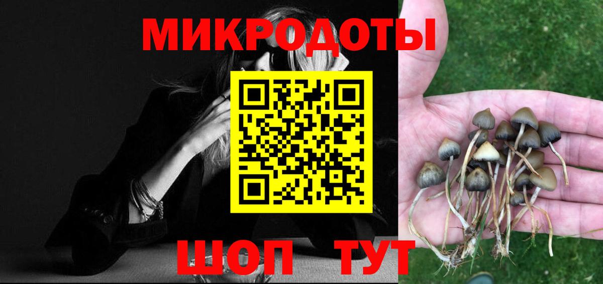 Топки  Псилоцибиновые грибы MAGIC MUSHROOMS  Вход с VPN  Псилоцибиновые грибы Psilocybe 